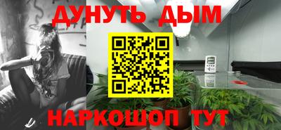 каннабис Будённовск