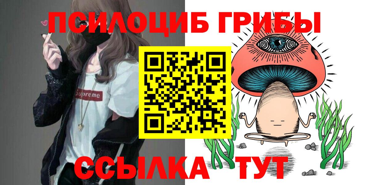 Галлюциногенные грибы Cubensis  Вход с VPN  Коркино 