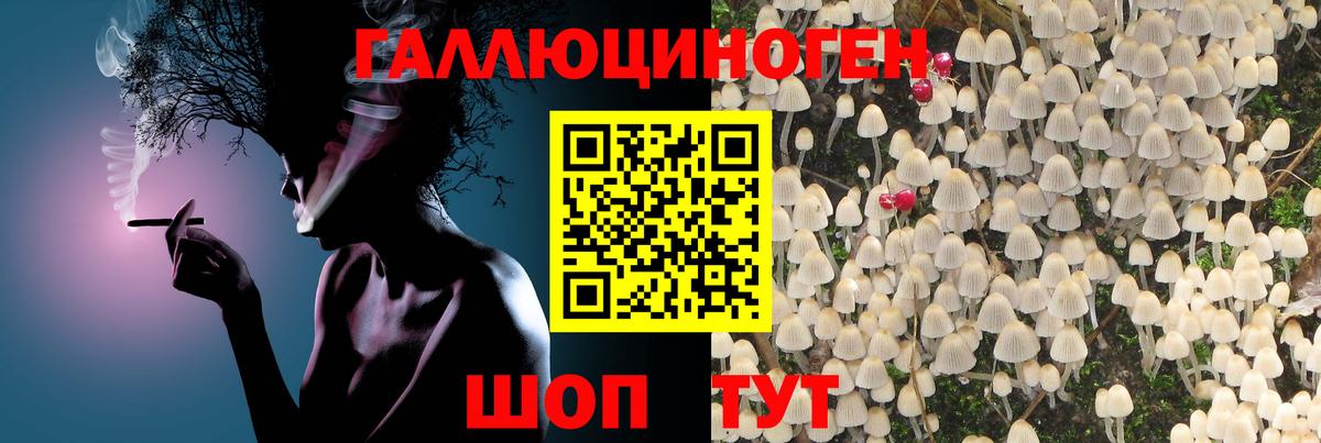 Галлюциногенные грибы Cubensis Коркино